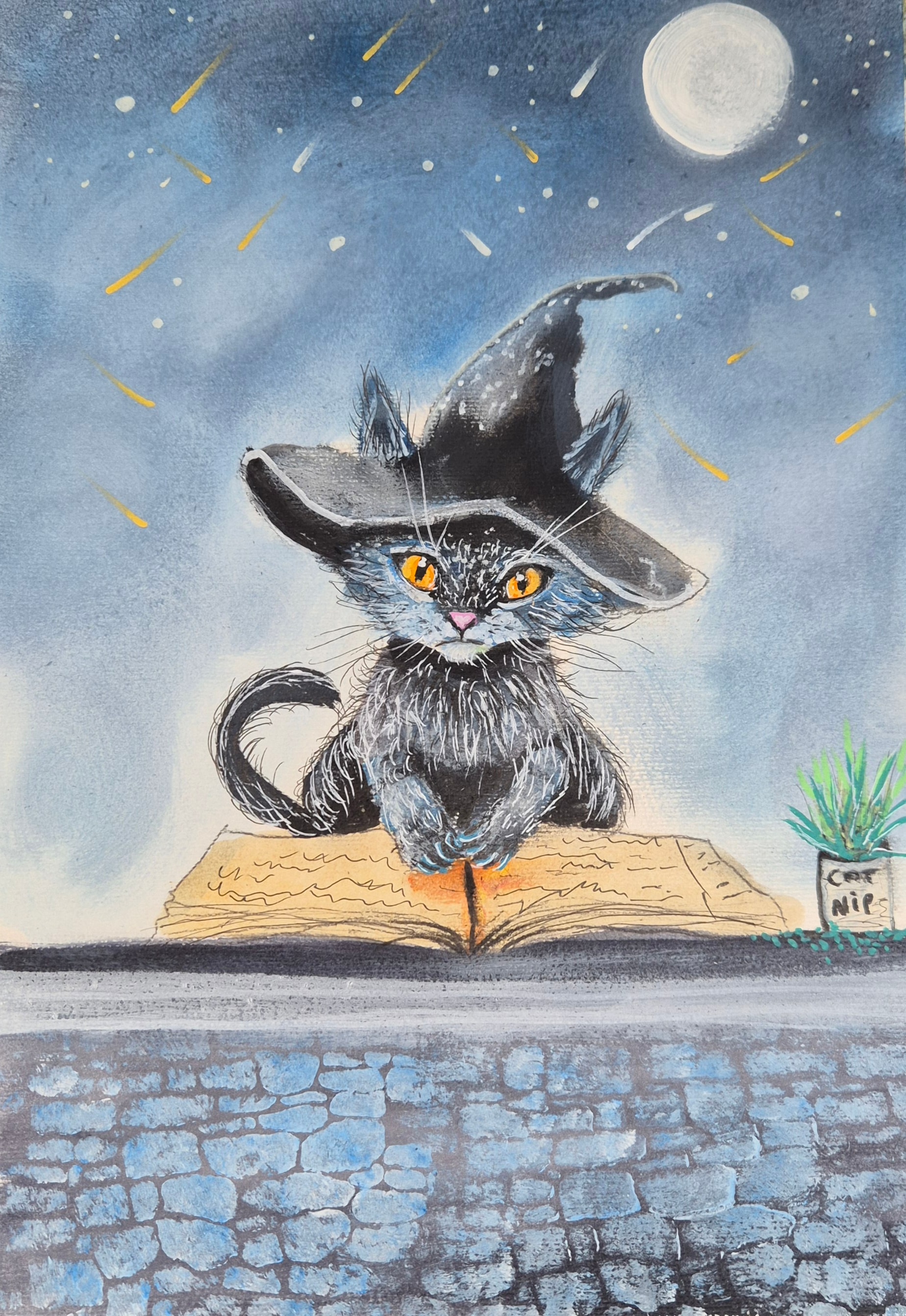 Cat with wizards Hat on hes got a Large Book of Magic Spells in front of him