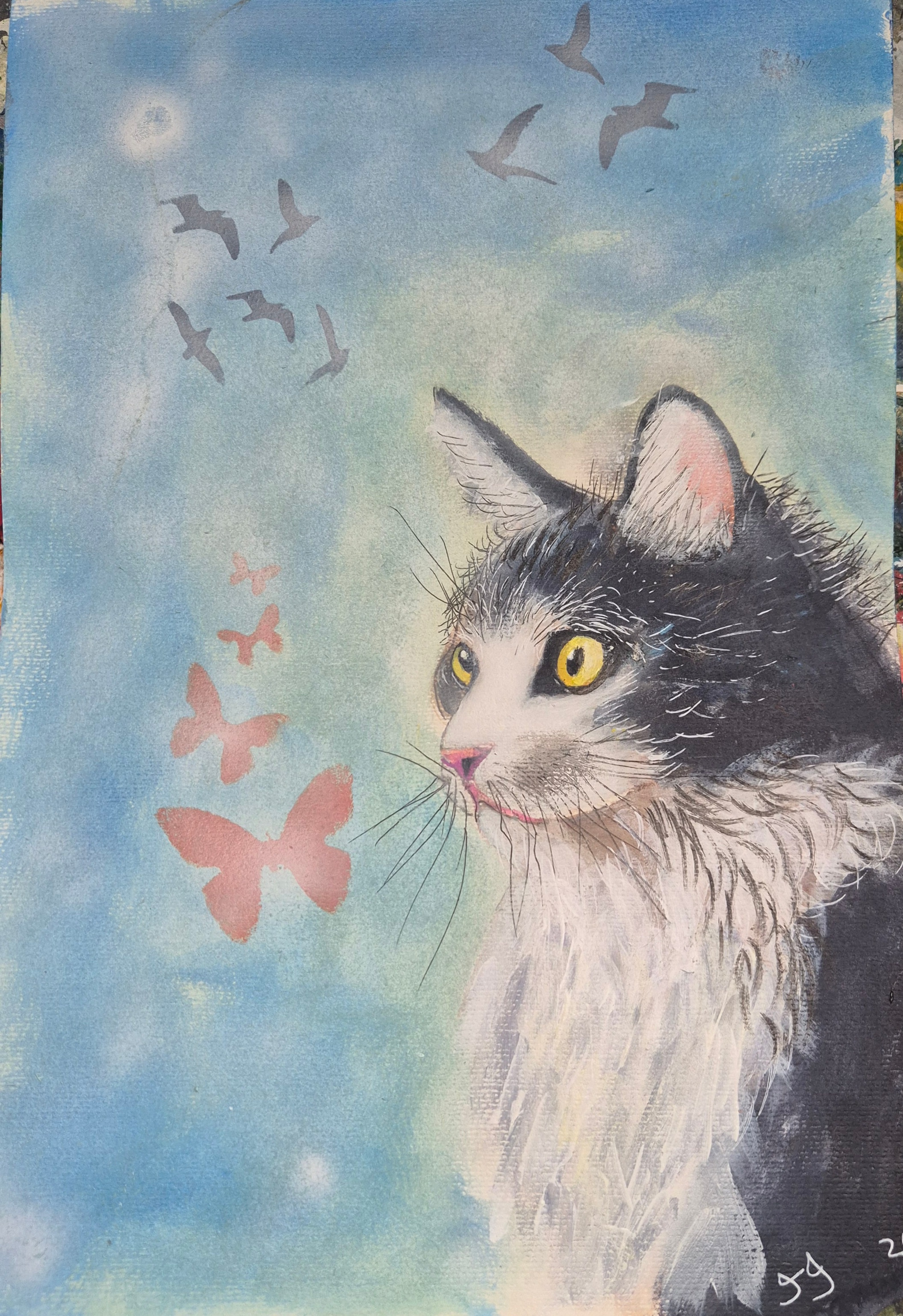 Black & White Cat watching Butterflies and birds Flying through  a Pale blue Sky